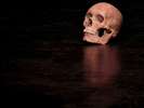 Menszátor Héresz Attila: Hamlet-illúziók