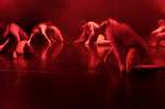 Kamakiri Dance Company: Inverz / Sáskajárás