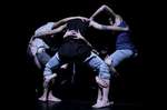 Kamakiri Dance Company: Inverz / Sáskajárás